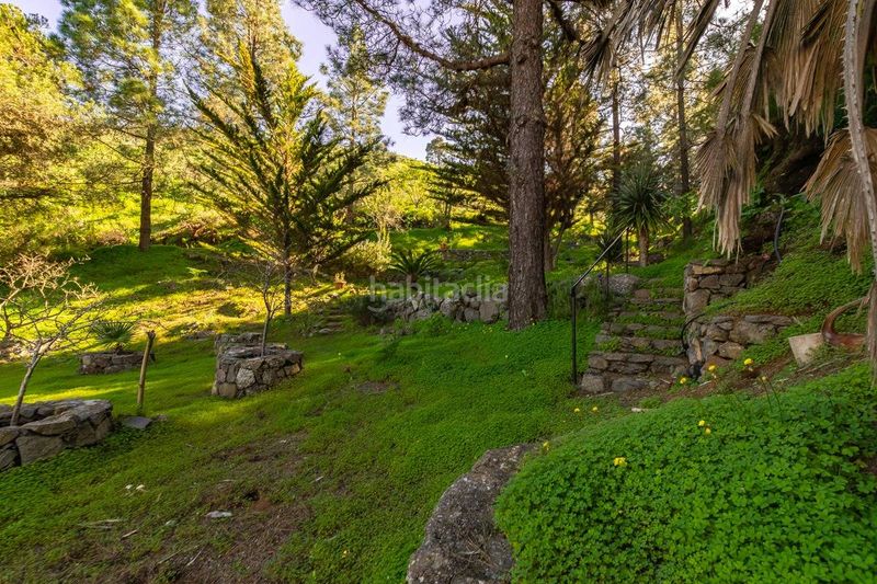 Foto 5c23c46a-912a-4eb3-939f-6c44beb7c6b1. Casa a Valle de los Nueve - El Ejido - Medianías Telde