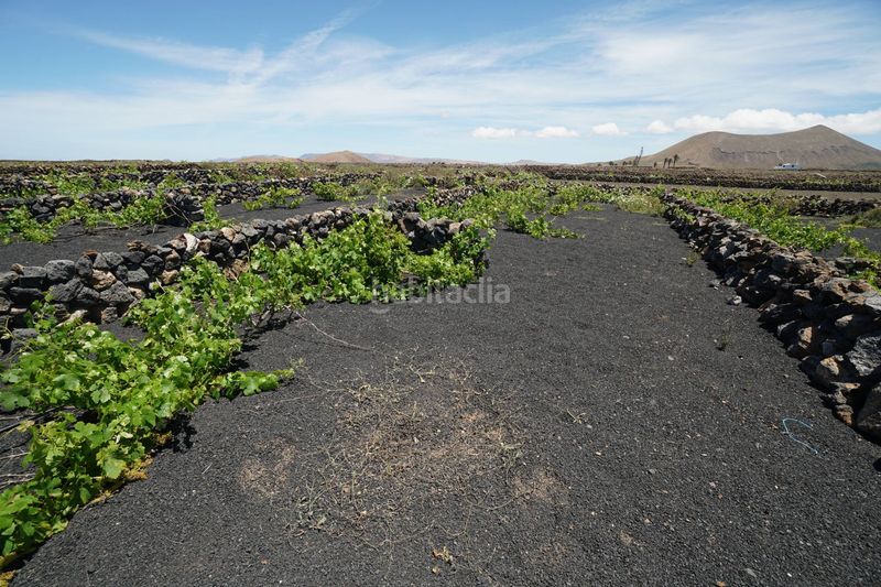 Foto a1df7801-edb5-4995-8c52-937061957885. Finca rústica a Tinajo
