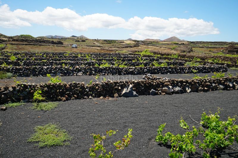 Foto c9e6a282-c14f-49b7-8a7b-3373964119d5. Finca rústica a Tinajo