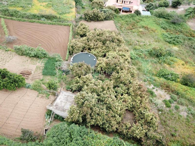 Foto 1b3cdcaa-fb2a-42a2-81d8-6a04b9fe1e3a. Masia a Palo Blanco Realejos (Los)