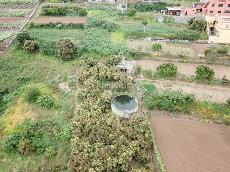 Foto 9a41d0ff-ad86-48ae-9182-f973fe092a9a. Masia a Palo Blanco Realejos (Los)