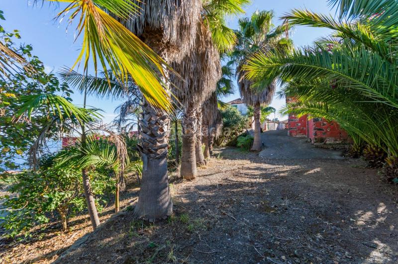 Foto 080a052c-dfe6-4500-9c1e-2ac288ab1550. Masía espectaculares casitas con 1034 m2 de terreno en Icod de los Vinos