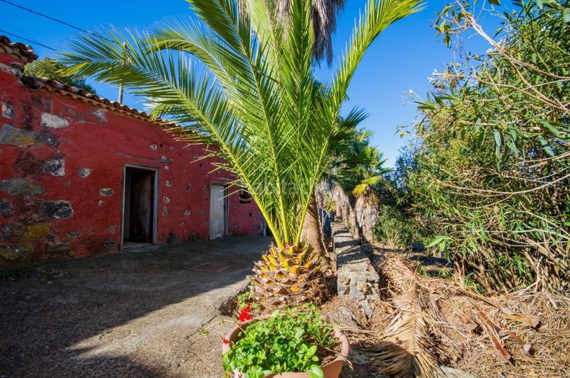 Foto eb724cfa-d7a8-49a5-ab44-8b7af166d370. Masía espectaculares casitas con 1034 m2 de terreno en Icod de los Vinos