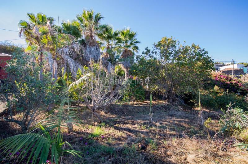 Foto fc5864e2-09c9-48a4-ba9b-9c690663ed22. Masía espectaculares casitas con 1034 m2 de terreno en Icod de los Vinos