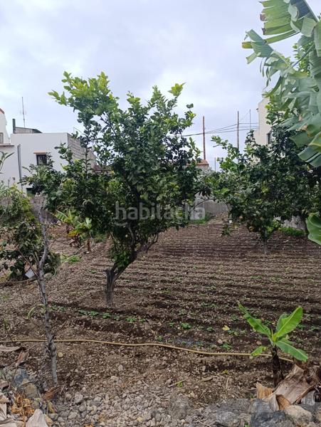 Foto 121f6ce5-45f1-4b50-a645-77aa127cd551. Terrain résidentiel dans Buen Paso - La Mancha Icod de los Vinos