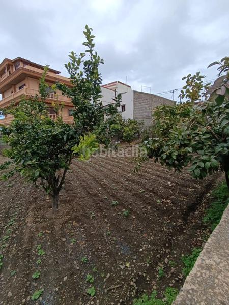 Foto 6036854c-fbf0-4df7-8481-b825567b59c5. Terrain résidentiel dans Buen Paso - La Mancha Icod de los Vinos