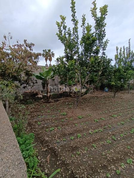 Foto 85abadd3-efb0-4050-b5c4-b4afc4c78082. Terrain résidentiel dans Buen Paso - La Mancha Icod de los Vinos