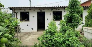 Propriété à Icod El Alto. Finca con luz, agua y dos edificaciones
