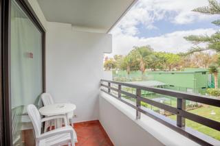 Estudi a Zona Botánico. Estudio en el puerto de la cruz