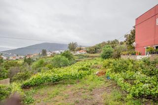 Rural plot in La Perdoma - San Antonio - Benijos. Terreno rústico zona el sauce en la orotava