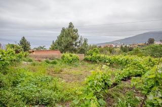 Finca rústica a La Perdoma - San Antonio - Benijos. Terreno rústico zona el sauce en la orotava