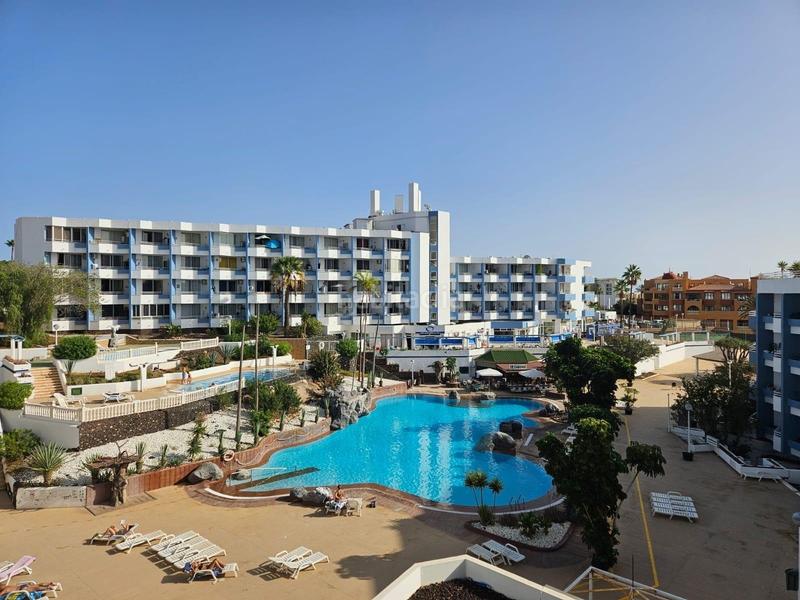 Foto db8a4b51-e0f7-416f-977d-4d877276e199. Monolocale con piscina in Golf del Sur - Amarilla Golf San Miguel de Abona