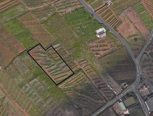 Finca rústica  Cruz de leandro. En el sauzal en la zona conocida como cruz de leandro se encuent