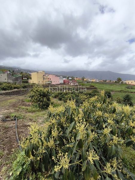 Foto 37159ba9-8767-4c8e-bb1d-d11717abb168. Finca rústica a La Perdoma - San Antonio - Benijos Orotava (La)