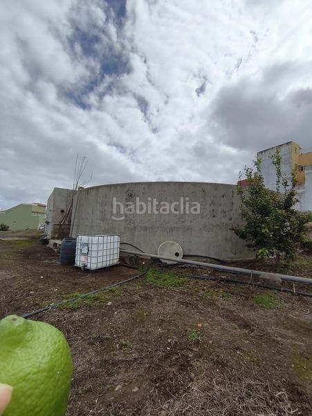 Foto d3f35166-768d-42aa-819f-ee7ed0b762dc. Finca rústica a La Perdoma - San Antonio - Benijos Orotava (La)