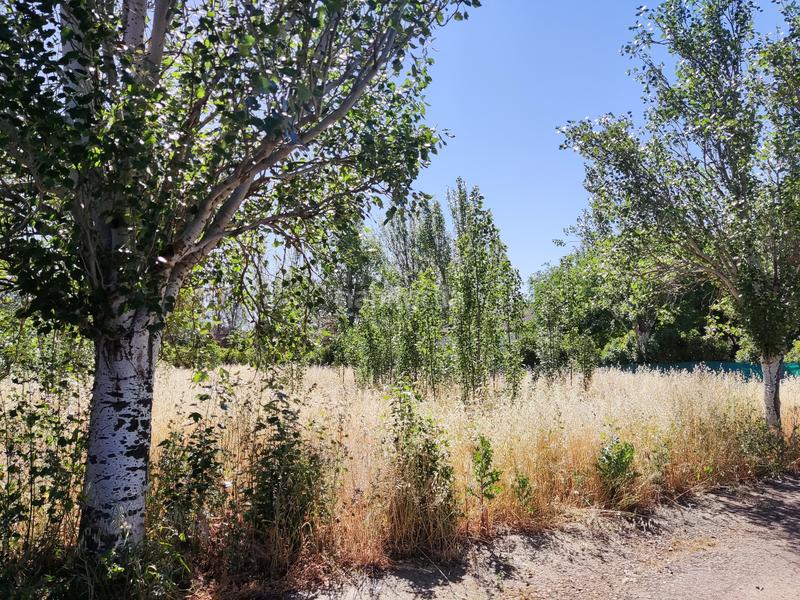 Foto 40347268-fd74-478e-9d0e-7366eb4e5fa4. Terreno residenziale in Picón