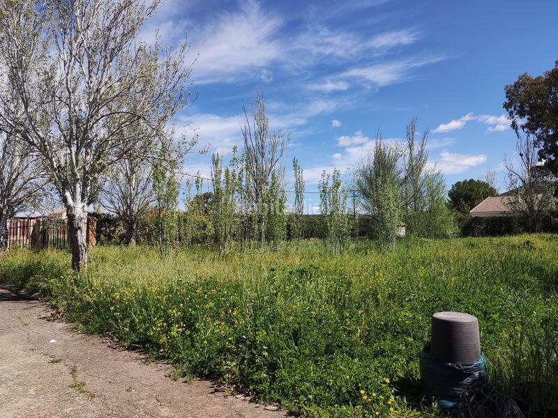 Foto 6f4ffcdc-198d-415b-821b-9ce7201ae457. Terreno residenziale in Picón