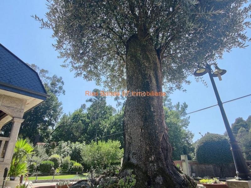 Foto 4f953828-f312-4d37-a02f-6ab8669a348b. Casa ref 2914 chalet 5 dorm. con jardín y piscina muy próximo mondariz balneario en Ponteareas