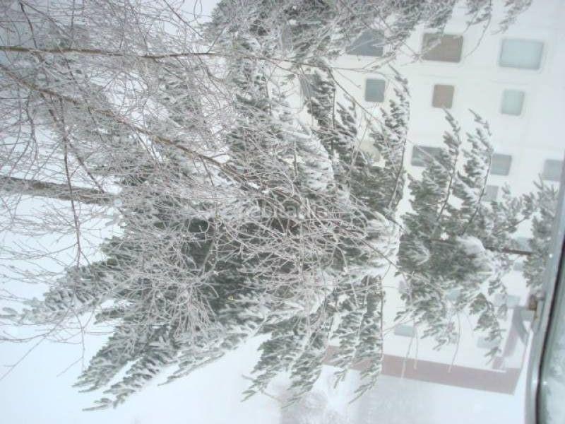 Foto a4817607-4f3f-4453-a6f3-a4df334d7a70. Pis amb aparcament piscina a Pobra de Trives (A)