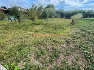 Propriété à Mos. Ref 4178 terreno rústico 1181m2 tameiga  mos