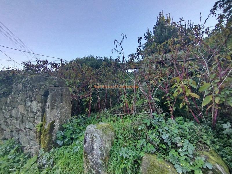 Foto 319f797f-9fd3-4fb4-a3fd-8594f080b456. Maison dans Mos