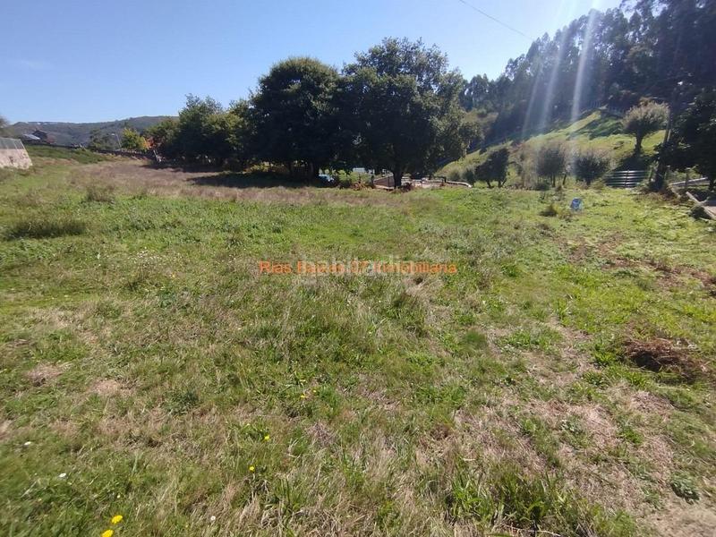 Foto 840bcee7-a1d3-452f-8241-d8a88aefe23c. Terreny residencial a Pazos de Borbén