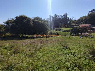 Terreno residencial en Pazos de Borbén. Ref 7027 solar edificable 1344m en olladela  pazos de borben