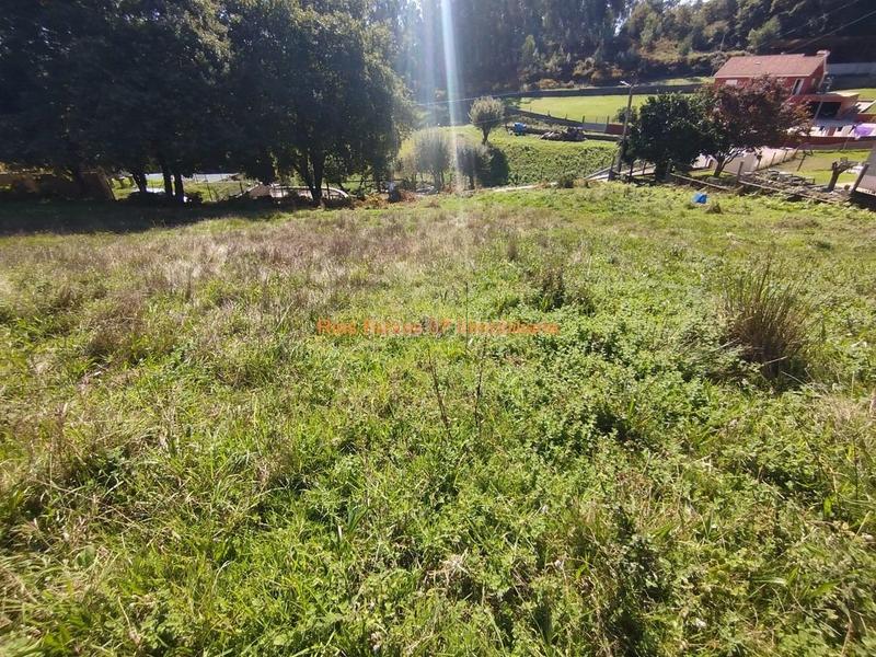 Foto d6d28b64-46fd-4837-a82c-bdc1d3321598. Terreny residencial a Pazos de Borbén