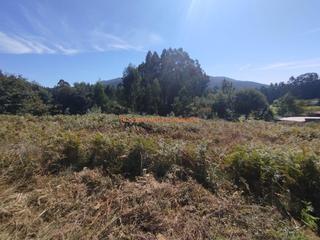 Terreno residencial en Pazos de Borbén. Ref 7028 solar edificable de 1.235m en nespereira  pazos de borb