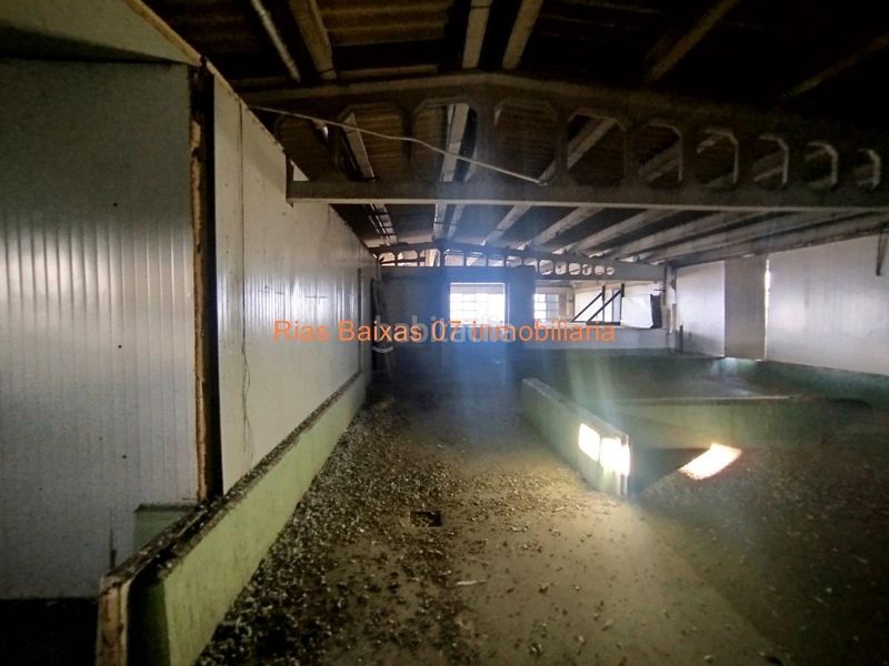 Foto e65f8594-1b96-4c38-bfbb-ab8a84219ba2. Nau industrial a Comesaña - Matamá Vigo