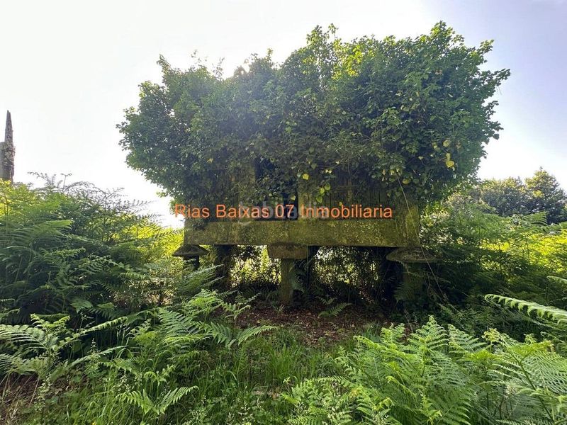 Foto f816a79b-4de4-4e04-8a85-c41eae3cb043. Casa amb aparcament a Mos