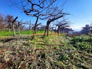 Terrain résidentiel à Mos. Ref 2119 solar 883 m2 llano ,alto y soleado cercano concello mos