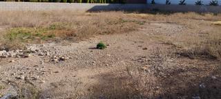 Terrain résidentiel à Alquerías del Niño Perdido. Parcela urbana en zona ayuntamiento alquerías ref. 2.028