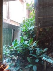 Casa en Centro. Casa en pleno centro de 9 m de fachada ref. 3.005