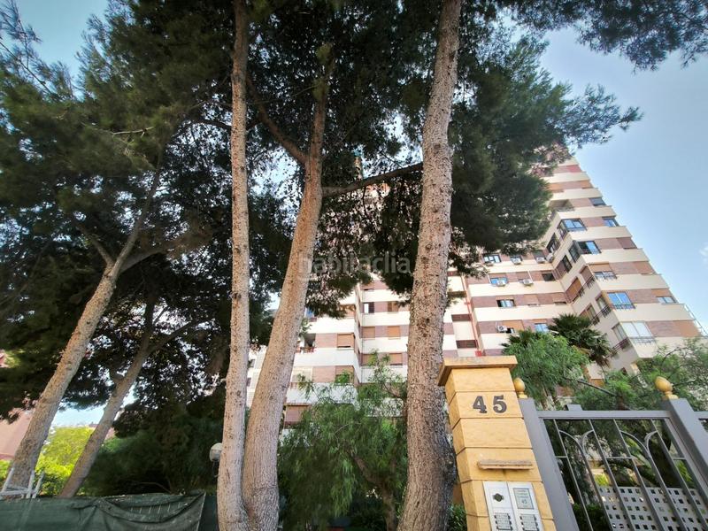 Foto 9bfaec9d-65e9-41d2-889a-1b5077adea6b. Piso se vende piso en urbanización en la zona de Babel en Alicante
