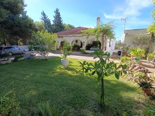 Masia a El Rocío - La Milagrosa. Finca rústica de riego a solo 2 km de jerez de la frontera