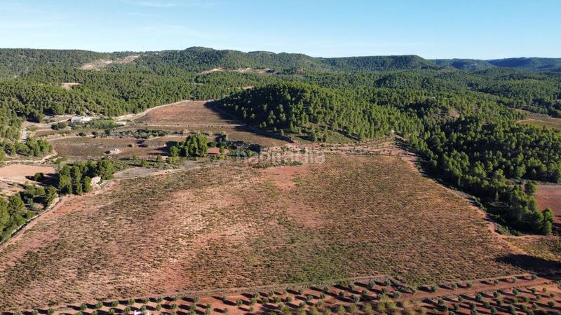 Foto 34775443-6e31-4271-ac07-533609065e21. Finca rústica antigua bodega en el valle en Ayora