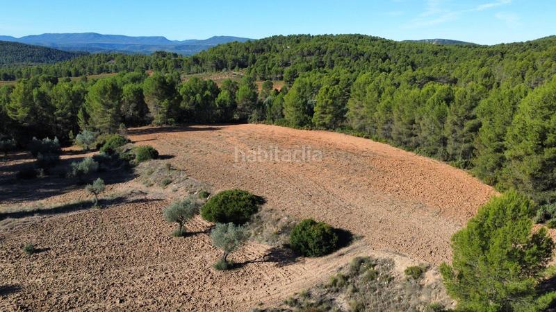 Foto 4fbbccf0-bd20-40af-8dd7-91810804008a. Finca rústica antigua bodega en el valle en Ayora