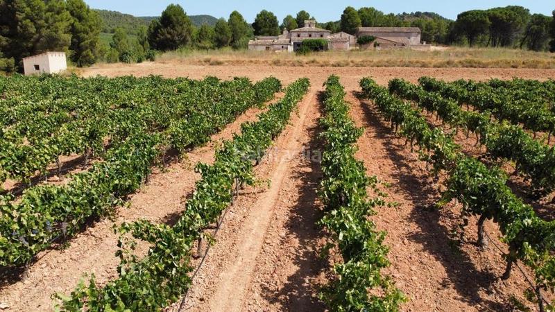 Foto ad5f4eab-d701-4211-bf96-192cdec2b174. Finca rústica antigua bodega en el valle en Ayora