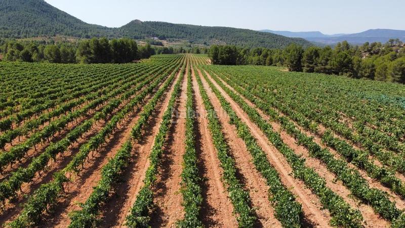 Foto b6b41d0b-bcfe-4c8d-8288-1ff30b4bd6e3. Finca rústica antigua bodega en el valle en Ayora
