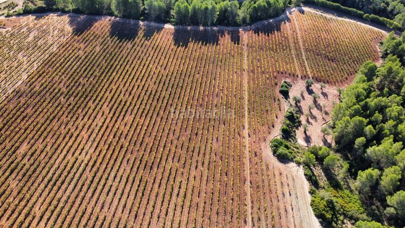 Foto e61a94e3-3187-41b4-8864-55a6d6abf8d1. Finca rústica antigua bodega en el valle en Ayora