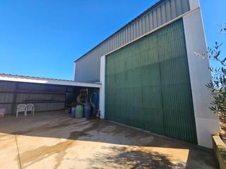 Local commercial à Balsapintada - El Estrecho. Finca versátil con almacén y posibilidad de vivienda!
