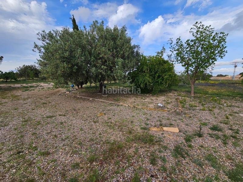 Foto 58f9a71a-b011-4840-aadf-51a8c6afa056. Casa espectacular finca de estilo colonial en valladolises 35.000 m de terreno a solo 20 min en Murcia
