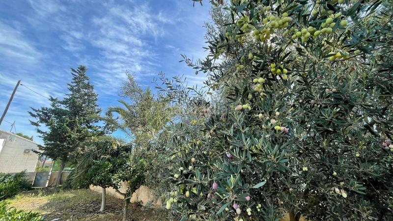 Foto 3acc79c5-f620-413f-b1c9-8f7f59da4071. Casale con parcheggio in La Pinilla - Las Palas Fuente Álamo de Murcia