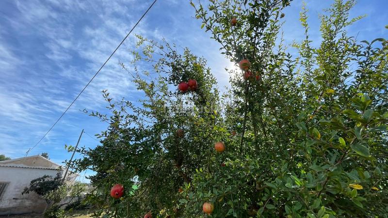 Foto f8093fbc-9821-4515-beb5-b431e2d64793. Casale con parcheggio in La Pinilla - Las Palas Fuente Álamo de Murcia
