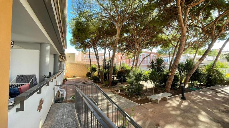 Foto 38b8229d-6c8b-4895-bee4-a8dac1b6a7b5. Planta baixa a Los Cuarteros San Pedro del Pinatar