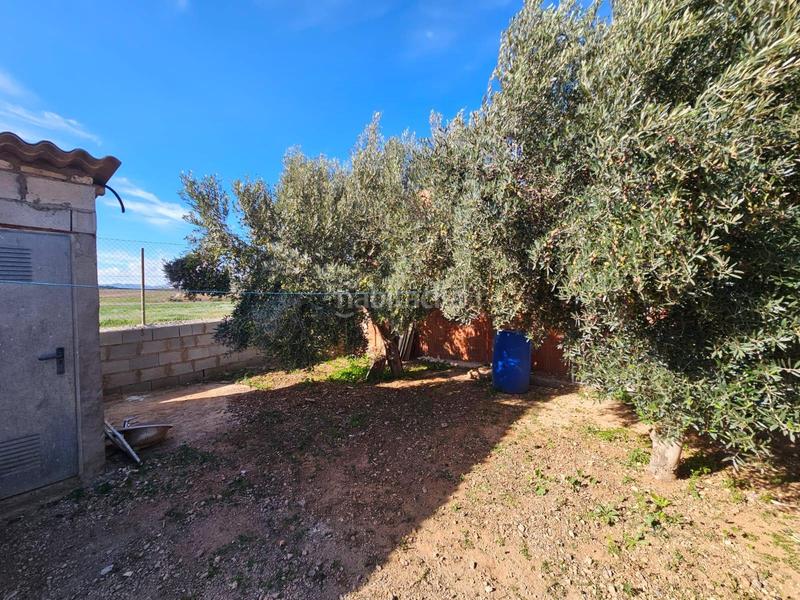 Foto 4d4eab64-3bf2-4921-9a42-e69e6b98638b. Casa a La Pinilla - Las Palas Fuente Álamo de Murcia