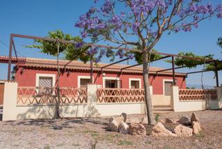 Bauernhof in La Pinilla - Las Palas. Lo hondo  casa de 330 m con 67.000 m de terreno y privacidad tot