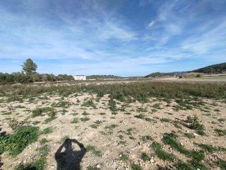 Finca rústica a Campo Nubla. Parcela en venta en tallante  naturaleza, tranquilidad y futuro