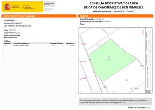 Finca rústica a Los Martínez del Puerto. Terreno en venta en los martinez del puerto